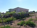 Aspe, terrain à vendre ! - Terrains à bâtir à vendre à Aspe, Alicante | Alicante, Aspé in Real Estate Alicante