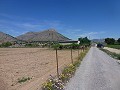 Aspe, terrain à vendre ! - Terrains à bâtir à vendre à Aspe, Alicante | Alicante, Aspé in Real Estate Alicante