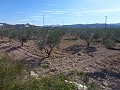 Städtisches Grundstück zum Verkauf - Baugrundstücke zum Verkauf in Macisvenda, Murcia | Alicante, Macisvenda in Real Estate Alicante
