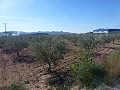 Städtisches Grundstück zum Verkauf - Baugrundstücke zum Verkauf in Macisvenda, Murcia | Alicante, Macisvenda in Real Estate Alicante