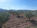 Städtisches Grundstück zum Verkauf - Baugrundstücke zum Verkauf in Macisvenda, Murcia | Alicante, Macisvenda in Real Estate Alicante
