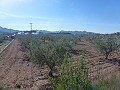 Städtisches Grundstück zum Verkauf - Baugrundstücke zum Verkauf in Macisvenda, Murcia | Alicante, Macisvenda in Real Estate Alicante