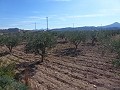 Städtisches Grundstück zum Verkauf - Baugrundstücke zum Verkauf in Macisvenda, Murcia | Alicante, Macisvenda in Real Estate Alicante