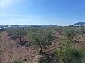 Städtisches Grundstück zum Verkauf - Baugrundstücke zum Verkauf in Macisvenda, Murcia | Alicante, Macisvenda in Real Estate Alicante