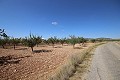 Building plot of land with almond trees in Real Estate Alicante