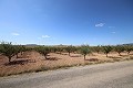 Building plot of land with almond trees in Real Estate Alicante