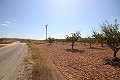 Building plot of land with almond trees in Real Estate Alicante