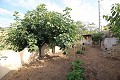 4 bedroom Cave House in Casas del Senor in Real Estate Alicante