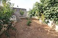 4 bedroom Cave House in Casas del Senor in Real Estate Alicante