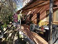 Casa en pinoso in Real Estate Alicante