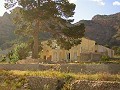 Finca de 12 441 m2 à Raiguero de Bonanza, Orihuela in Real Estate Alicante