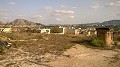 Finca de 12 441 m2 à Raiguero de Bonanza, Orihuela in Real Estate Alicante