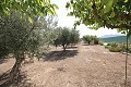 Vrijstaande villa dicht bij de stad in Caudete in Real Estate Alicante