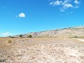 10,500m2 de terreno con agua corriente. in Real Estate Alicante