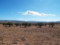 10,500m2 de terreno con agua corriente. in Real Estate Alicante