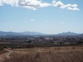 10,500m2 de terreno con agua corriente. in Real Estate Alicante
