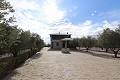 Magnificent 6 Bed Villa in Sax  in Real Estate Alicante