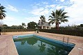 Magnificent 6 Bed Villa in Sax  in Real Estate Alicante
