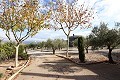 Magnificent 6 Bed Villa in Sax  in Real Estate Alicante