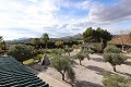 Magnificent 6 Bed Villa in Sax  in Real Estate Alicante