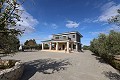 Magnificent 6 Bed Villa in Sax  in Real Estate Alicante