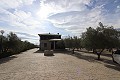 Magnificent 6 Bed Villa in Sax  in Real Estate Alicante