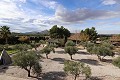 Magnificent 6 Bed Villa in Sax  in Real Estate Alicante