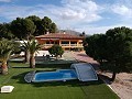 Große freistehende Villa mit Pool in der Nähe der Stadt in Elda-Petrer in Real Estate Alicante