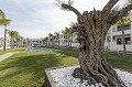 Bonito Apartamento con una gran Piscina Común y 4 Pistas de Golf cerca in Real Estate Alicante