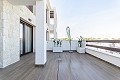 Bonito Apartamento con una gran Piscina Común y 4 Pistas de Golf cerca in Real Estate Alicante