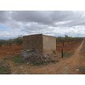 Plot in Raspay in Real Estate Alicante