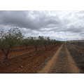 Plot in Raspay in Real Estate Alicante