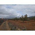 Plot in Raspay in Real Estate Alicante