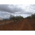 Plot in Raspay in Real Estate Alicante
