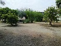 Mooie villa in Ricabacica, Abanilla + olijfgaard in Partidor in Real Estate Alicante