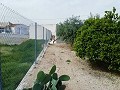 Mooie villa in Ricabacica, Abanilla + olijfgaard in Partidor in Real Estate Alicante