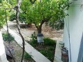 Mooie villa in Ricabacica, Abanilla + olijfgaard in Partidor in Real Estate Alicante