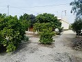 Mooie villa in Ricabacica, Abanilla + olijfgaard in Partidor in Real Estate Alicante