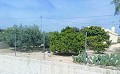 Mooie villa in Ricabacica, Abanilla + olijfgaard in Partidor in Real Estate Alicante