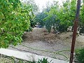 Mooie villa in Ricabacica, Abanilla + olijfgaard in Partidor in Real Estate Alicante
