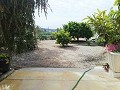 Mooie villa in Ricabacica, Abanilla + olijfgaard in Partidor in Real Estate Alicante