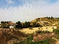 Mooie villa in Ricabacica, Abanilla + olijfgaard in Partidor in Real Estate Alicante