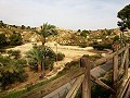 Mooie villa in Ricabacica, Abanilla + olijfgaard in Partidor in Real Estate Alicante