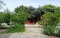 Mooie villa in Ricabacica, Abanilla + olijfgaard in Partidor in Real Estate Alicante