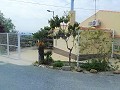 Mooie villa in Ricabacica, Abanilla + olijfgaard in Partidor in Real Estate Alicante