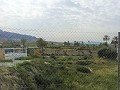 Mooie villa in Ricabacica, Abanilla + olijfgaard in Partidor in Real Estate Alicante