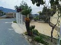 Mooie villa in Ricabacica, Abanilla + olijfgaard in Partidor in Real Estate Alicante