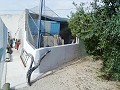 Mooie villa in Ricabacica, Abanilla + olijfgaard in Partidor in Real Estate Alicante