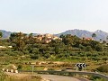 Mooie villa in Ricabacica, Abanilla + olijfgaard in Partidor in Real Estate Alicante