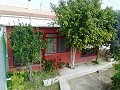Mooie villa in Ricabacica, Abanilla + olijfgaard in Partidor in Real Estate Alicante